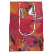 Sac Cadeau Moyen Gift Bag - Fall Leaves (Dos)