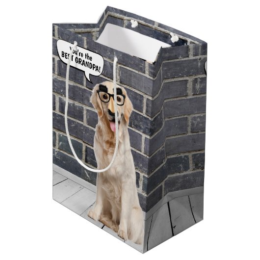 Sac Cadeau Moyen Golden Retriever avec drôle Masque Anniversaire (Dos Angle)