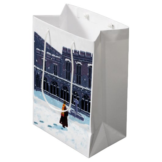 Sac Cadeau Moyen HARRY POTTER™ et Hedwig dans la cour de HOGWARTS™ (Devant Angle)
