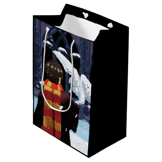 Sac Cadeau Moyen HARRY POTTER™ & Hedwig dans la neige (Devant Angle)