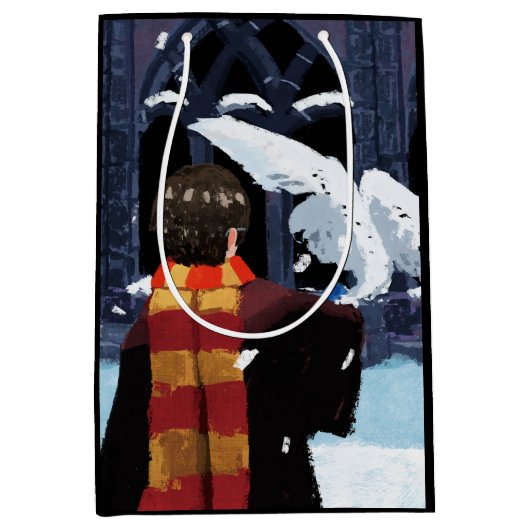 Sac Cadeau Moyen HARRY POTTER™ & Hedwig dans la neige (Devant)