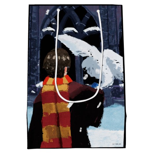 Sac Cadeau Moyen HARRY POTTER™ & Hedwig dans la neige (Dos)