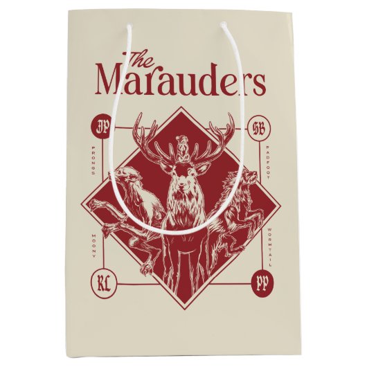 Sac Cadeau Moyen HARRY POTTER™ Les Marauders Animagus Graphisme (Devant)