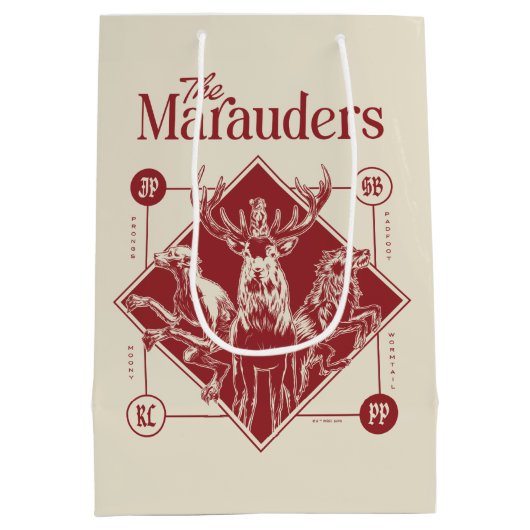 Sac Cadeau Moyen HARRY POTTER™ Les Marauders Animagus Graphisme (Dos)