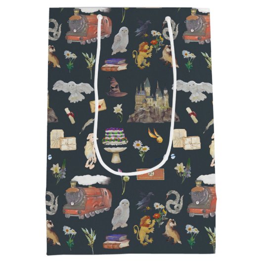 Sac Cadeau Moyen HARRY POTTER™ | Motif icônes (Dos)