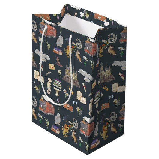 Sac Cadeau Moyen HARRY POTTER™ | Motif icônes (Dos Angle)