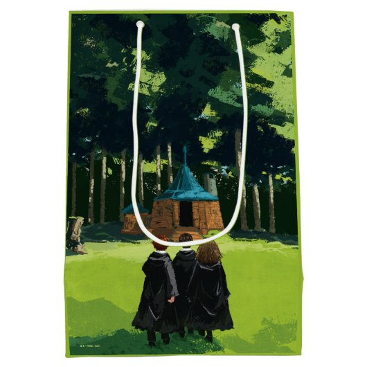 Sac Cadeau Moyen HARRY POTTER™, Ron, & Hermione à Hagrid's Hut (Dos)