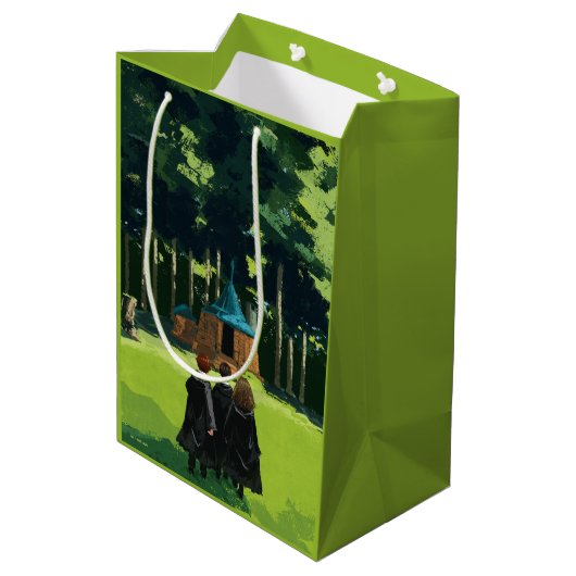 Sac Cadeau Moyen HARRY POTTER™, Ron, & Hermione à Hagrid's Hut (Dos Angle)