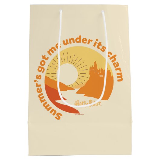 Sac Cadeau Moyen HARRY POTTER™ | Summer Magic HOGWARTS™ Castle (Dos)