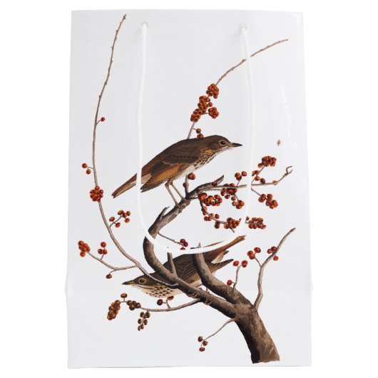 Sac Cadeau Moyen Hermite Grive Audubon Oiseau aux baies rouges (Dos)