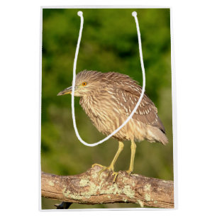 Sac Cadeau Moyen Héron de nuit de la couronne noire juvénile
