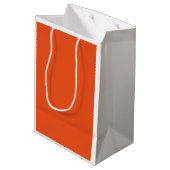 SAC CADEAU MOYEN HUNCHBACK HALLOWEEN WITCH (Dos Angle)