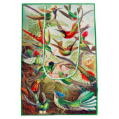 Sac Cadeau Moyen Imprimerie de colibris 1904 (Dos)