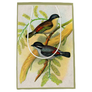 Sac Cadeau Moyen joli imprimé d'oiseaux