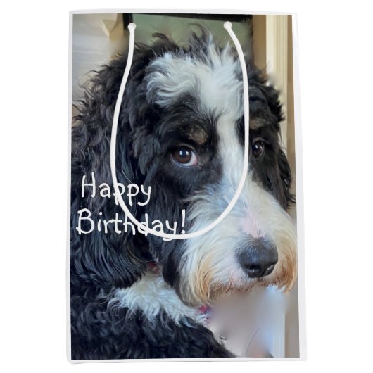 Sac Cadeau Moyen Joyeux anniversaire adorable Bernedoodle (Devant)