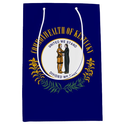 Sac Cadeau Moyen Kentucky Bluegrass Commonwealth State Flag (Devant)