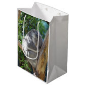 Sac Cadeau Moyen Koala dormant dans l'arbre (Devant Angle)