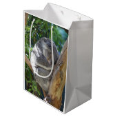 Sac Cadeau Moyen Koala dormant dans l'arbre (Dos Angle)