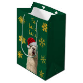 Sac Cadeau Moyen La Llama (Devant Angle)