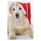 Sac Cadeau Moyen Labrador Retriever Père Noël Medium Cadeau (Dos)