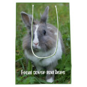 Sac Cadeau Moyen Lapin lapin (Dos)