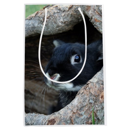 Sac Cadeau Moyen Lapin noir en creux d'un arbre (Devant)