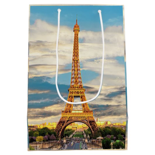 Sac Cadeau Moyen ldp TOUR EIFFEL - Paris - vue (Dos)