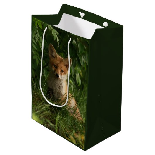 Sac Cadeau Moyen Le chou renard dans une forêt verte (Devant Angle)