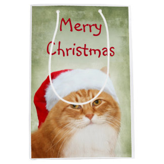 Sac Cadeau Moyen Le père noël tigré orange