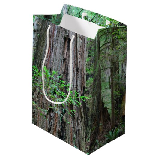 Sac Cadeau Moyen Les séquoias - séquoia (Dos Angle)
