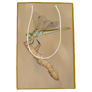 Sac Cadeau Moyen Libellule Skimmer Insecte Femelle (CC BY 4.0) Moye