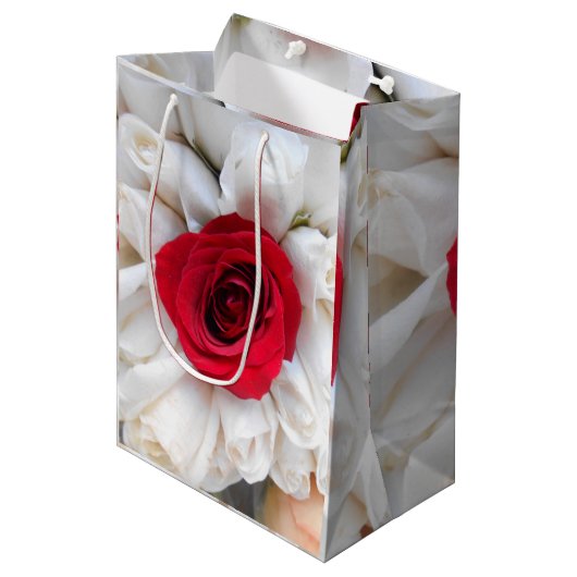 Sac Cadeau Moyen Lindegren (Devant Angle)