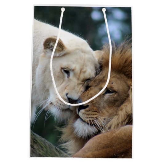 Sac Cadeau Moyen Lion et Lion (Dos)