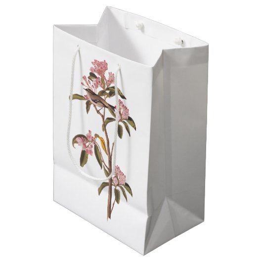 Sac Cadeau Moyen L'Oiseau de couvier d'Audubon sur Calico Rose (Devant Angle)