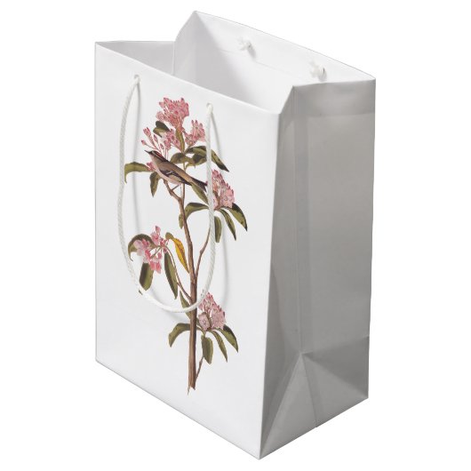 Sac Cadeau Moyen L'Oiseau de couvier d'Audubon sur Calico Rose (Dos Angle)