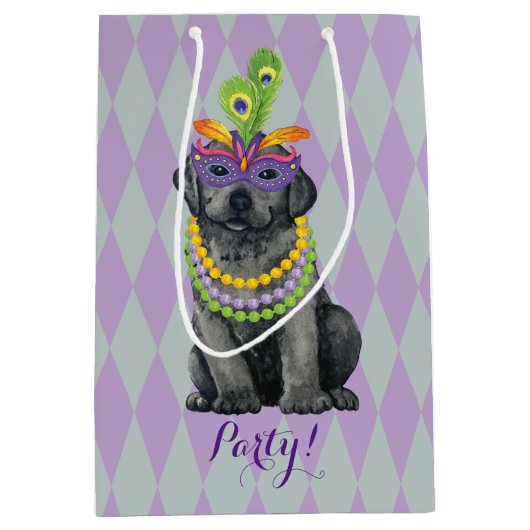 Sac Cadeau Moyen Mardi Gras Black Lab (Devant)