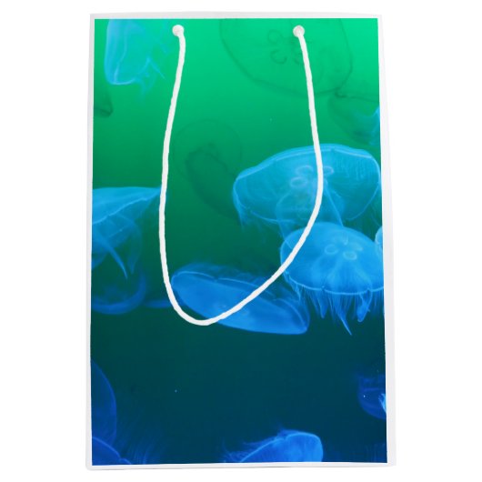 Sac Cadeau Moyen Méduses transparentes (Devant)