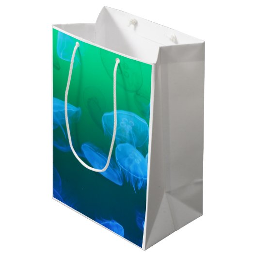 Sac Cadeau Moyen Méduses transparentes (Devant Angle)