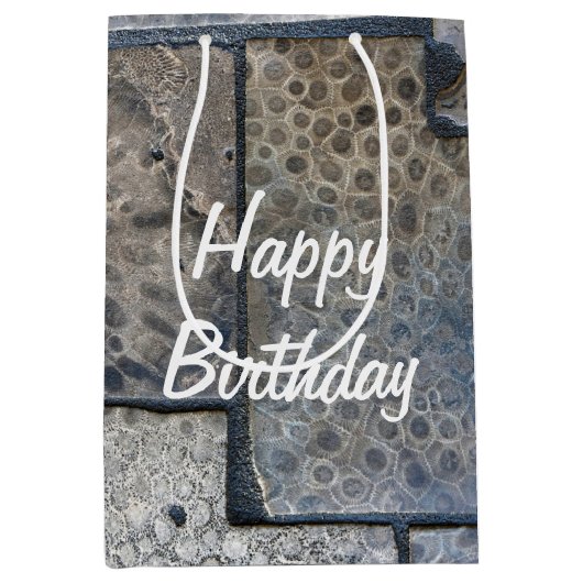 Sac Cadeau Moyen Michigan Petoskey Stone Anniversaire (Devant)