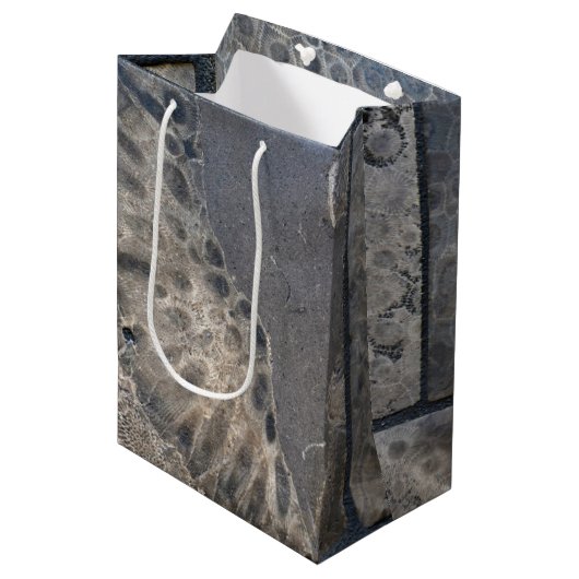 Sac Cadeau Moyen Michigan Petoskey Stone Design (Devant Angle)