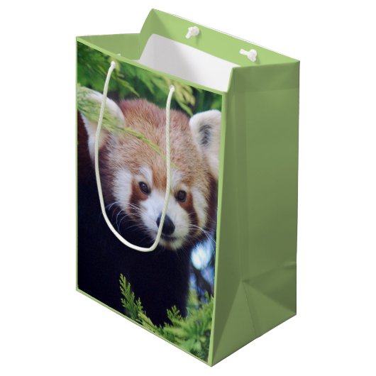 Sac Cadeau Moyen Motif Red Panda (Devant Angle)