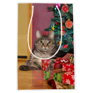 Sac Cadeau Moyen Noël de Tabby Kitty