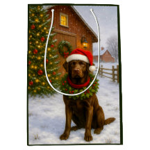 Noël Labrador chocolat 