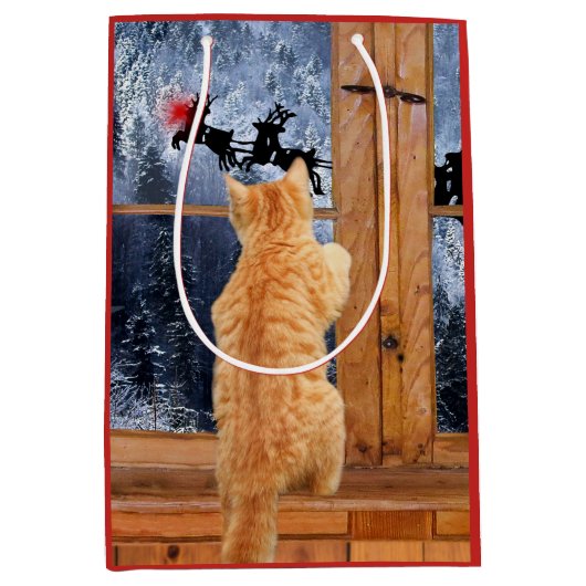 Sac Cadeau Moyen Noël rouge orange de point de chat tigré (Devant)