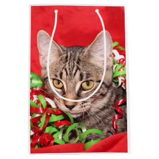 Sac Cadeau Moyen Noël tigré de Kitty