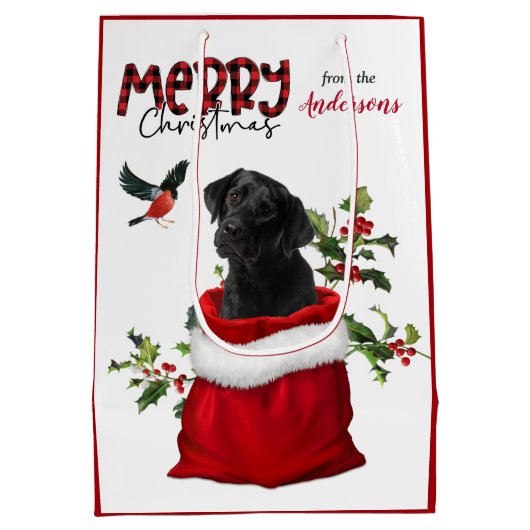 Sac Cadeau Moyen Noir Labrador Retriever Chien Chien Chien Chien Ch (Dos)