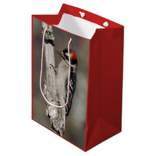 Sac Cadeau Moyen Oiseau de pic mou Downy sur la branche