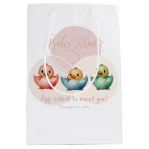 Sac Cadeau Moyen Oiseaux d'Oeufs de Cute Kawaii Baby shower coloré