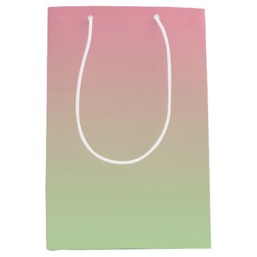 Sac Cadeau Moyen Ombre rose et vert (Devant)