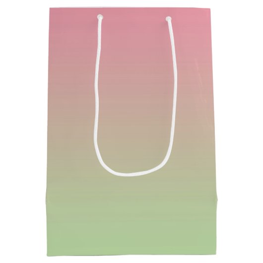 Sac Cadeau Moyen Ombre rose et vert (Dos)